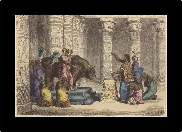 Worship of the Apis Bull in Ancient Egypt (coloured engraving)