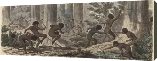 Two tribes of Australian Aborigines fighting (coloured engraving)