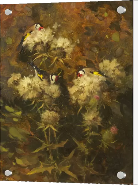 Goldfinches Feeding (oil on canvas)
