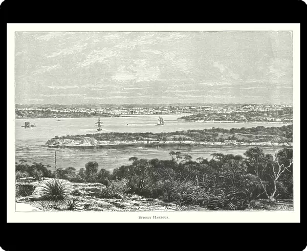 Australia: Sydney Harbour (engraving)