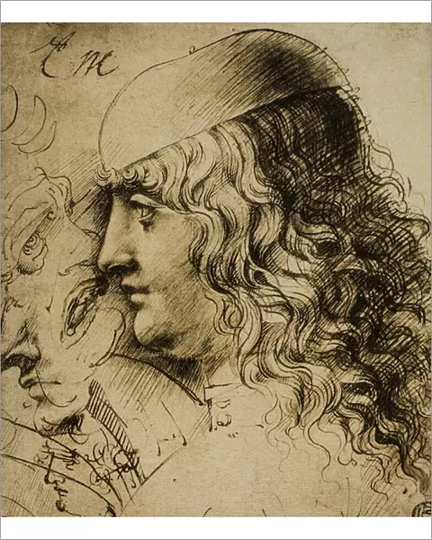 Study of a masculine head; drawing by Leonardo da Vinci. The Louvre, Paris
