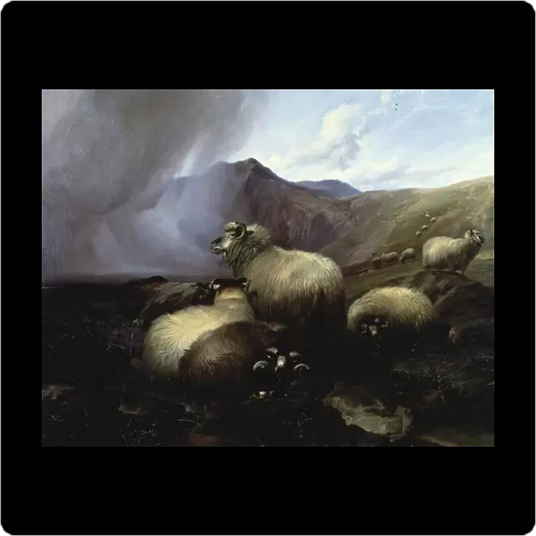 Highland Sheep in a Mountainous Landscape, 1854 (oil on canvas)