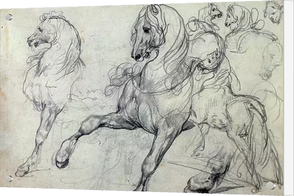 Horses (pencil)