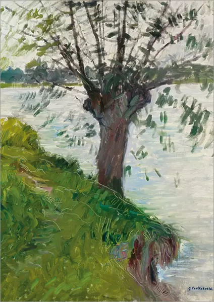 Willow by the River; Saule au bord de la riviere, c. 1891 (oil on canvas)
