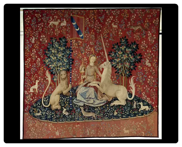 Curtain of the Lady of the Unicorn (Lady of the Unicorn): the view
