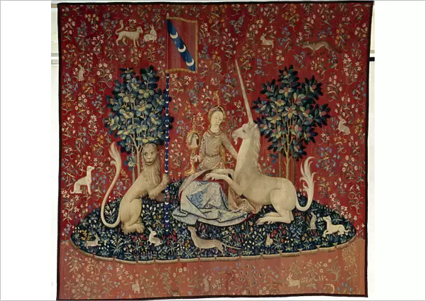 Curtain of the Lady of the Unicorn (Lady of the Unicorn): the view