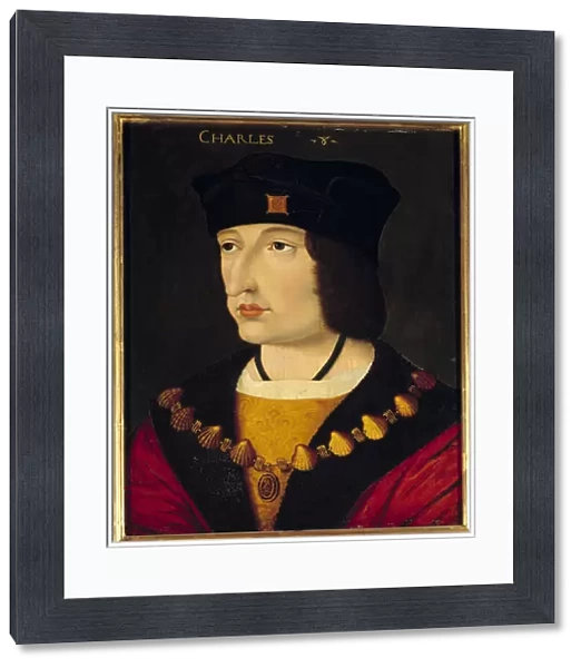 Portrait of Charles VIII (1470 - 1498) King of France son of Louis XI