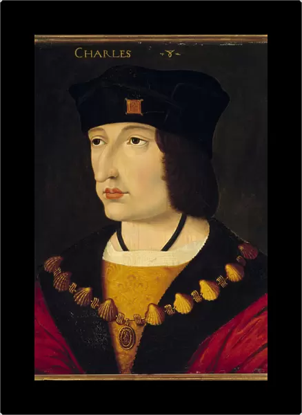 Portrait of Charles VIII (1470 - 1498) King of France son of Louis XI
