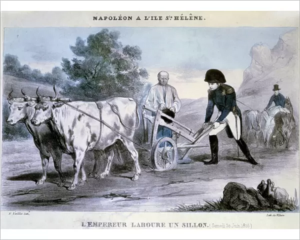 Napoleon I (1769-1821) a Saint Helene: the emperor plows a furrow (30  /  06  /  1816