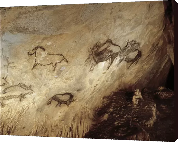 Bison and Horses. Upper Paleolithic (Magdalenian) (rock painting)