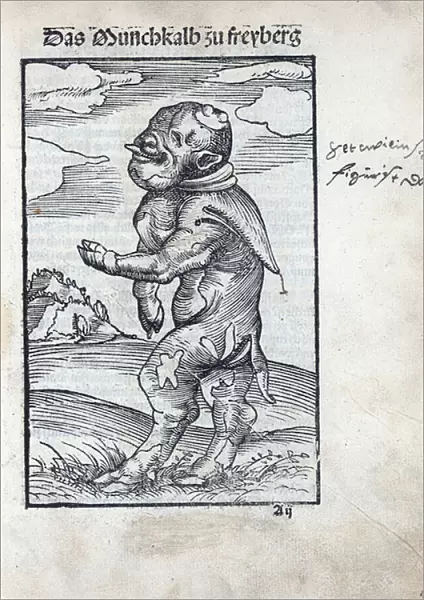 Monk Calf of Freiberg (Das Moenchskalb zu Freiberg), by Cranach, Lucas