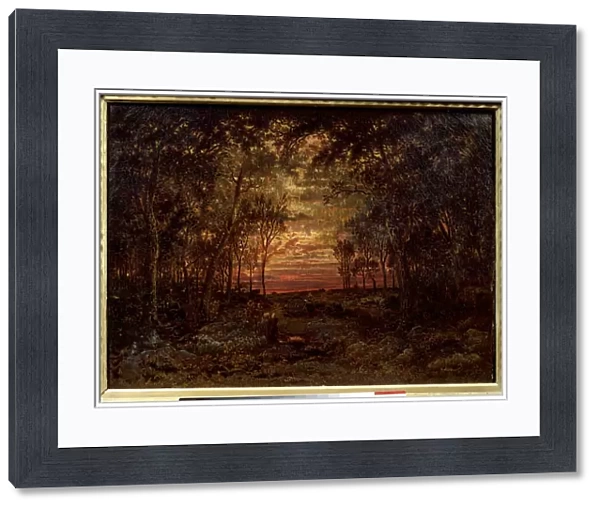 Sunset in the forest Painting by Theodore Rousseau (1812-1867