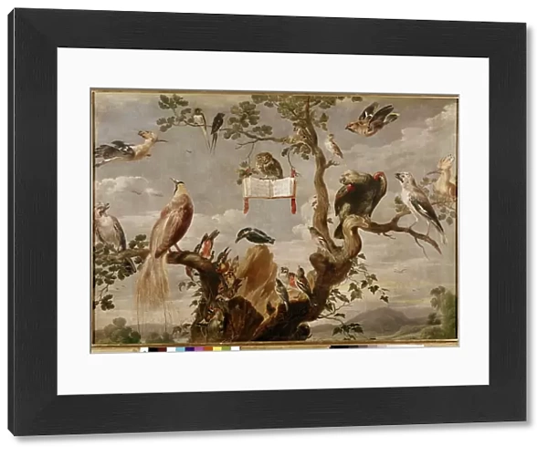 A birds concert (oil on canvas, 17th century)