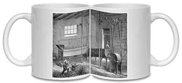 Mechanical potato washer, followed by epierror and grater - Figutree, 19th century
