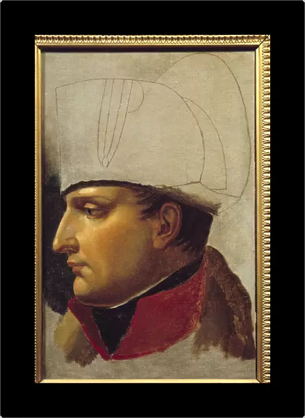 Portrait of Napoleon I (1769-1821) study for the handover of keys to the city of Vienna