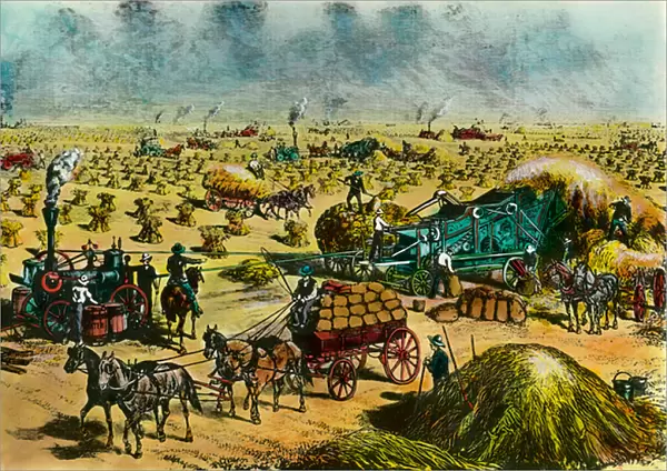 Agricultural revolution: harvest wheat in Dakota by steam machines in the 19th century