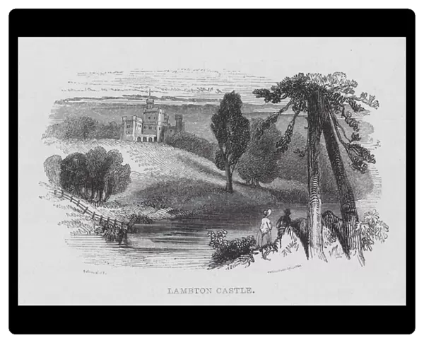 Lambton Castle (engraving)