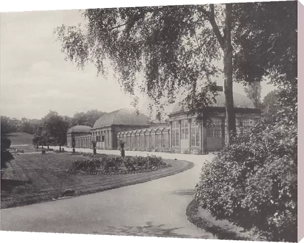 The Conservatory, Botanical Gardens, Sheffield (b  /  w photo)