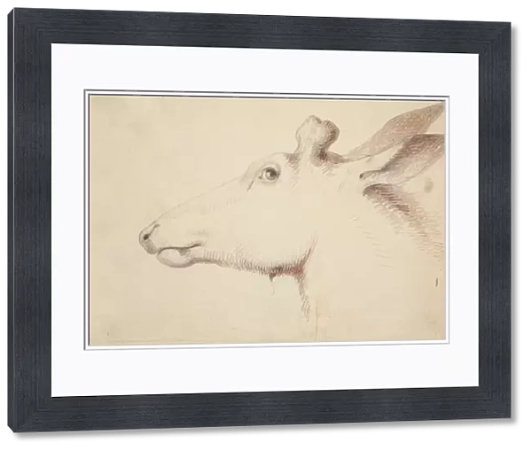 Elk. c. 1837 (drawing)