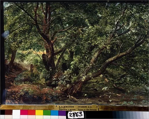 'Les arbres de la riviere'Peinture d Alexander Ivanov (1806-1858) 1837 State Russian Museum, Saint Petersbourg