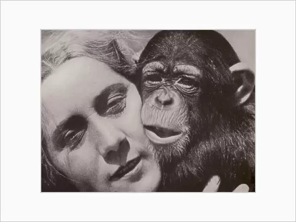 Young woman with young chimpanzee (b  /  w photo)
