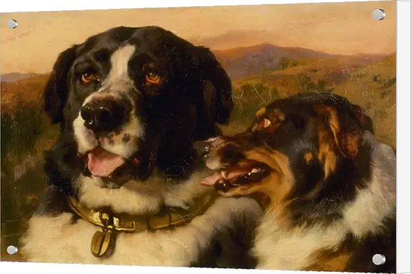 The Twa Dogs (oil on canvas)