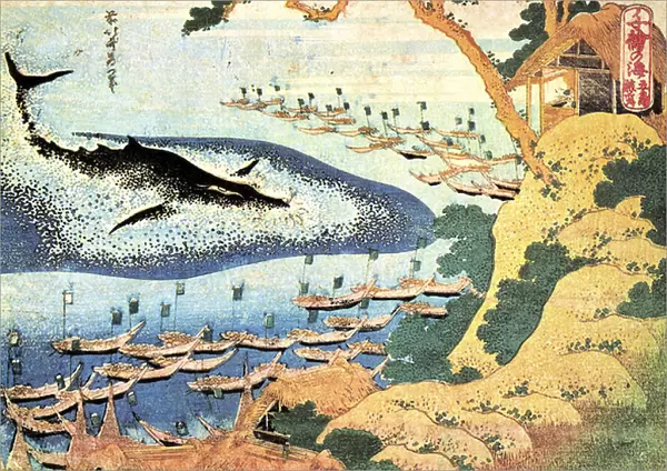 Serie de mille vues de l ocean : la baleine au large des iles Goto, japon - Estampe de Katsushika Hokusai (1760-1849) (ecole ukiyo-e) 1830-1833 State A Pushkin Museum of Fine Arts, Moscou