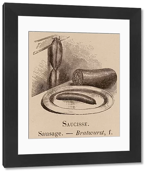 Le Vocabulaire Illustre: Saucisse; Sausage; Bratwurst (engraving)