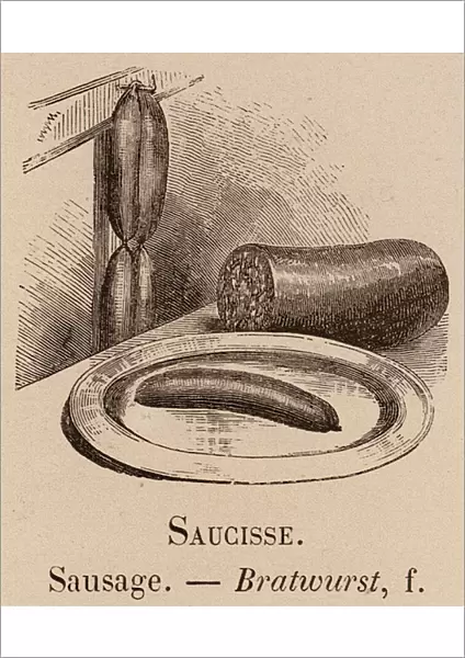 Le Vocabulaire Illustre: Saucisse; Sausage; Bratwurst (engraving)