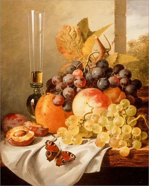 Fruit on a Draped Ledge with a Red Admiral (oil on canvas)