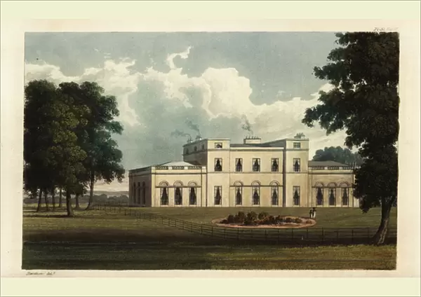 Mount Edgcumbe, Cornwall, seat of the Richard Edgcumbe, 1825 (engraving)