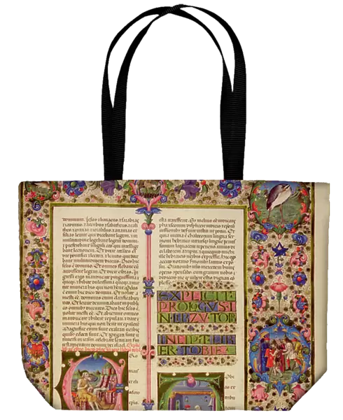 Fol. 212r Book of Toby, from the Borso d Este Bible. Vol 1 (vellum)