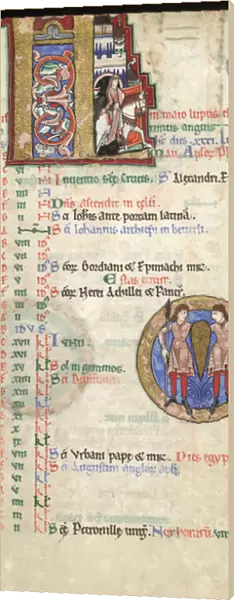 MS Hunter 229 f. 3r May, from the Hunterian Psalter, c. 1170 (pen & ink, and tempera on vellum)