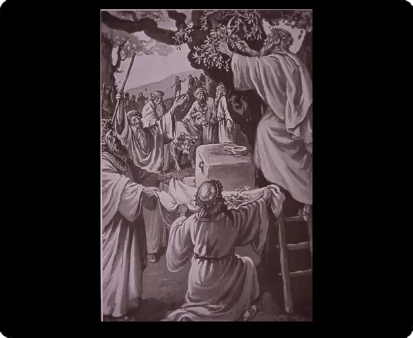 Origins of Christmas - Druids cutting mistletoe, late 19th century (litho)