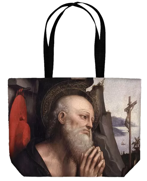 The Penitent St. Jerome (oil on panel)