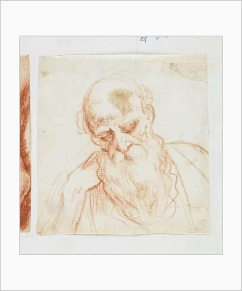 Head of a Bearded Man Looking Down (red chalk)