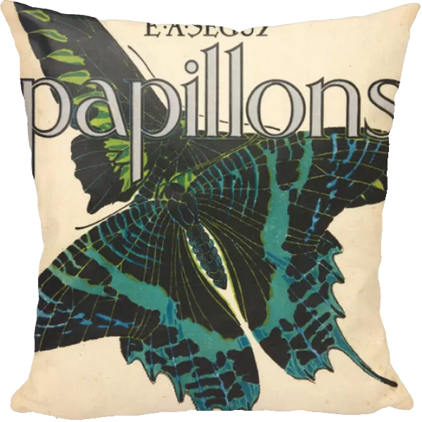 Front Cover from Papillons, pub. 1925 (pochoir print)