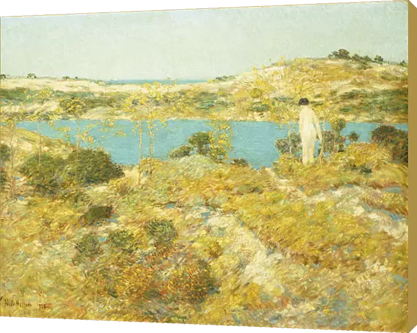 Dune Pool, 1912 (oil on canvas)