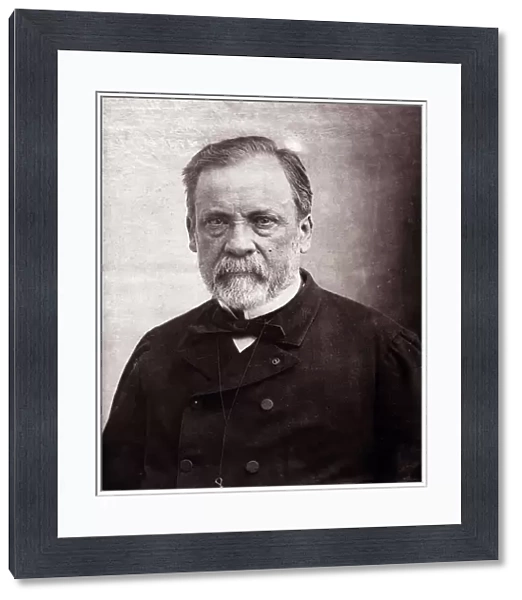 Portrait of the scientist Louis Pasteur (1822-1895), 1890 (photo)