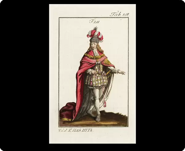 Knight of the Order of the Elephant. 1802 (engraving)