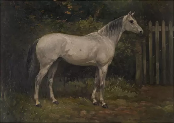 Pickles: a Basuto pony, c. 1904 (oil on canvas)