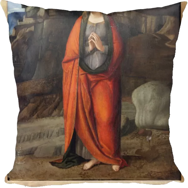 Saint Madeleine penitente, Painting by Marco Basaiti (ca. 1470-after 1530). Photography, KIM Youngtae, Lyon, Musee des Beaux Arts de Lyon