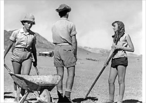 Jewish Youth Working on the Land, Israel, c. 1950 (b  /  w photo)
