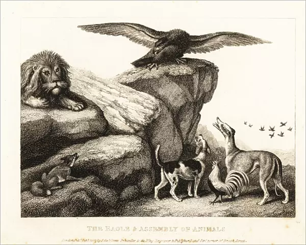 Jupiters bird admonishing an assembly of animals. 1811 (etching)
