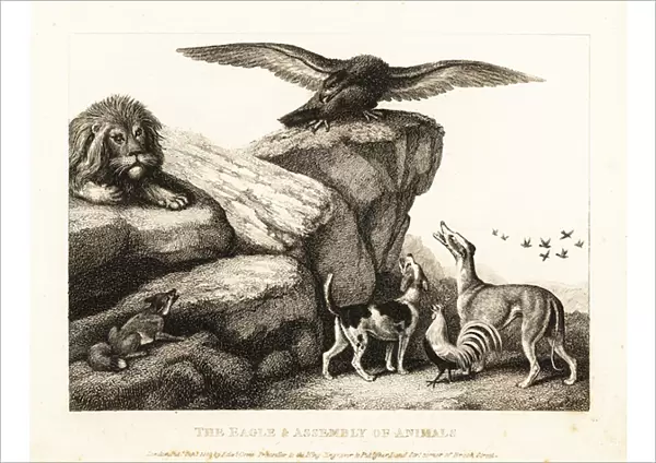 Jupiters bird admonishing an assembly of animals. 1811 (etching)