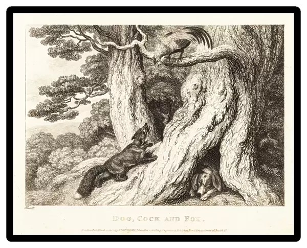 A cock in a tree outwits a fox, while a dog sleeps. 1811 (etching)