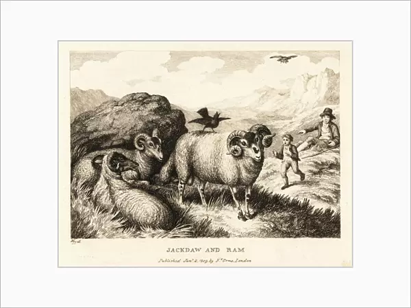 A jackdaw sings on the back of a ram. 1811 (etching)