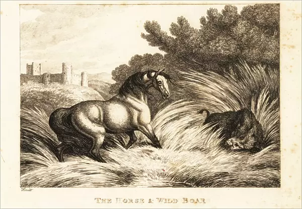 A horse and wild boar face off in a pasture. 1811 (etching)