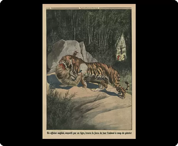 Tiger attacking a British officer, back cover illustration from Le Petit Journal, supplement illustre, 3rd August 1913 (colour litho)