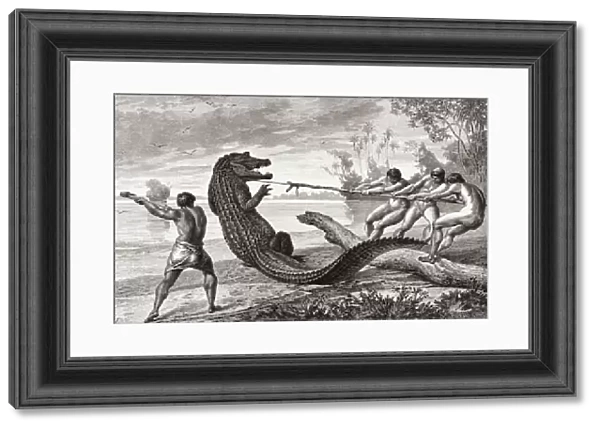 African tribesmen killing a crocodile. After a 19th century engraving